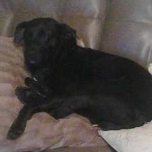 Meet your Posher, Elaine